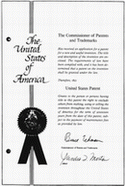 US Patent 5,381,797